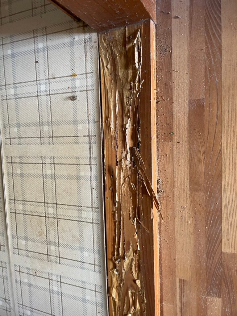 白蟻被害・床の写真