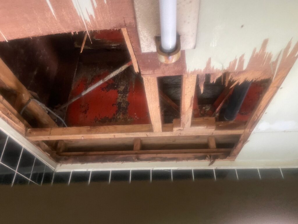 塩害・錆害の天井裏写真