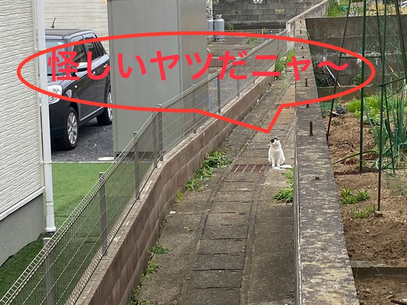 住宅サービス 写真