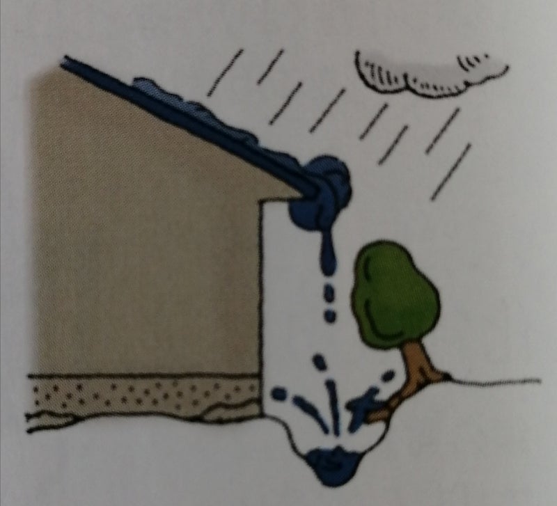 雨樋の大切さ 画像